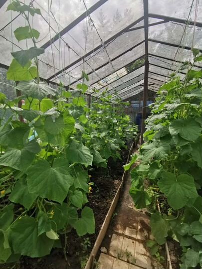 Дача 78,6 м² на участке 4 сот.