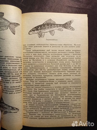 Аквариум и водные растения 1991 М.Цирлинг