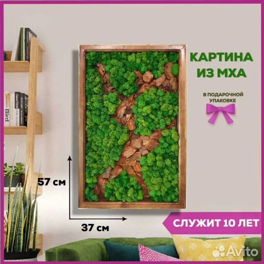 Панно мох ягель для салона, для офиса, в коридор