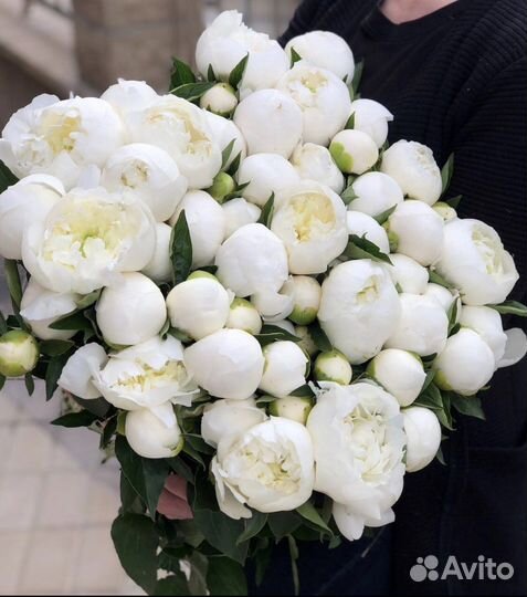 Пионы Букеты Доставка 24/7 Цветы Корзины