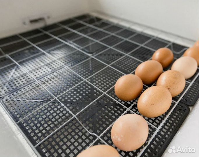 Инкубатор несушка на 104 яйца автоповорот