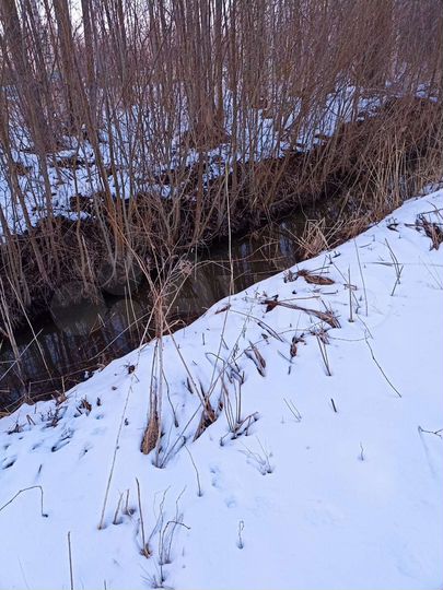 Участок 12 сот. (СНТ, ДНП)