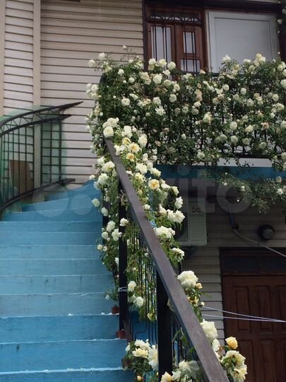 Комната 15 м² в 1-к., 2/2 эт.