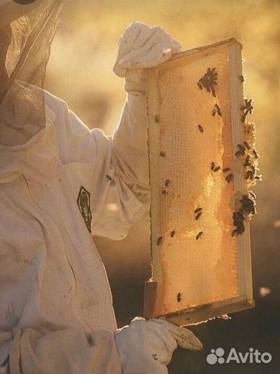 Продам ульи для пчел