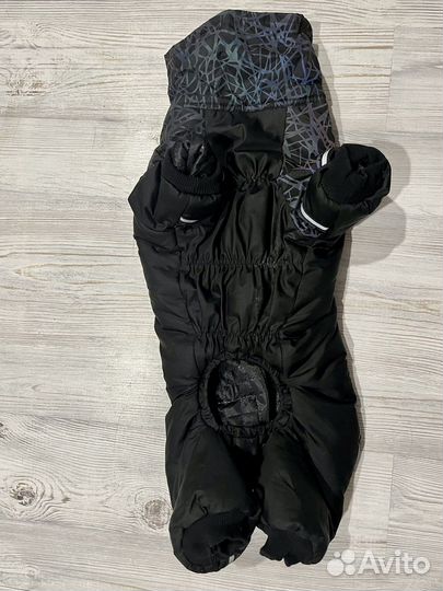 Комбинезон для собаки корги