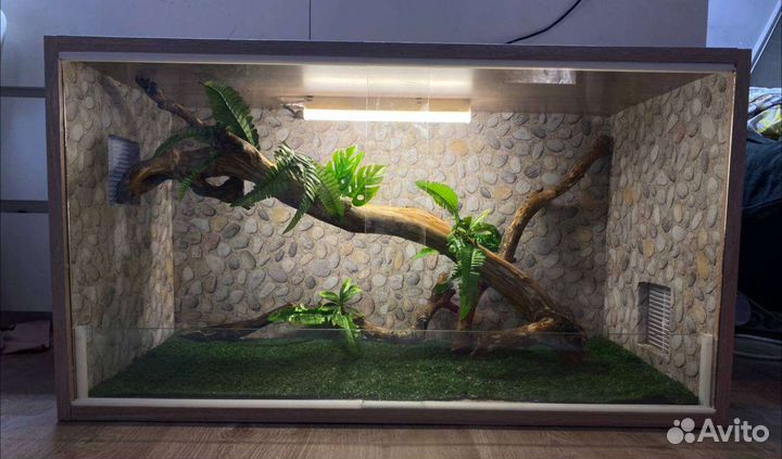 Террариум любой размер