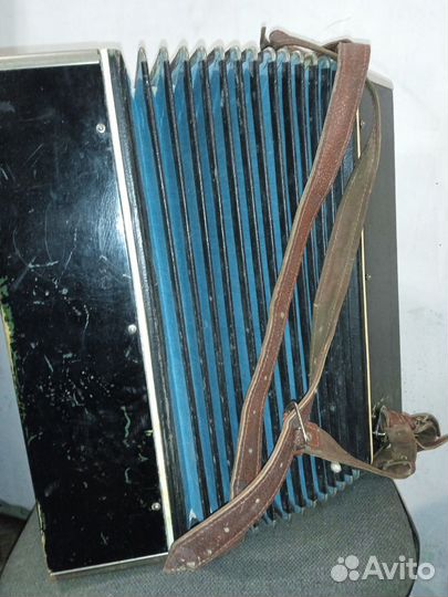 Баян Вологодский