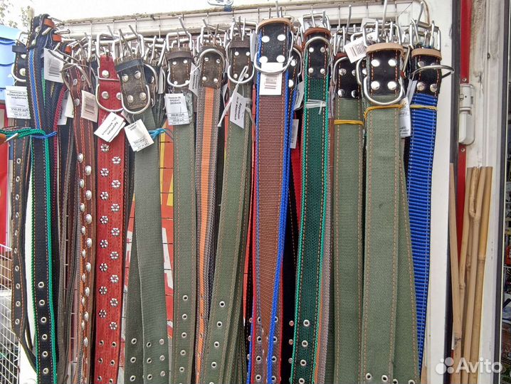 Ошейники для собак