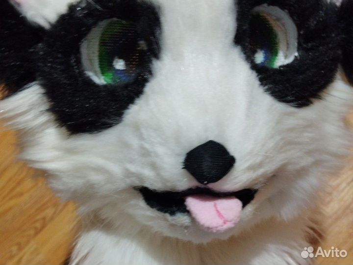 Фурсьют панды (чит. Опис)