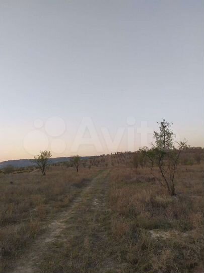 Участок 1,28 га (СНТ, ДНП)