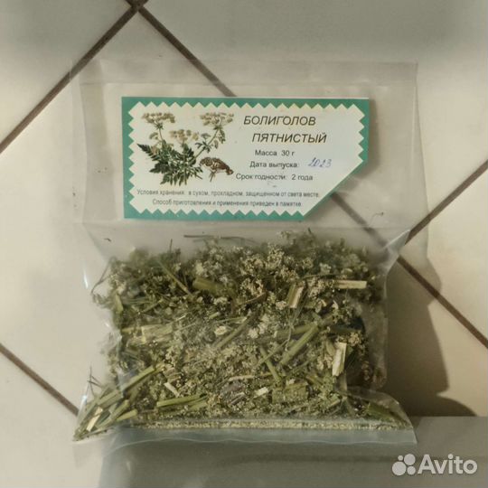 Болиголов, трава