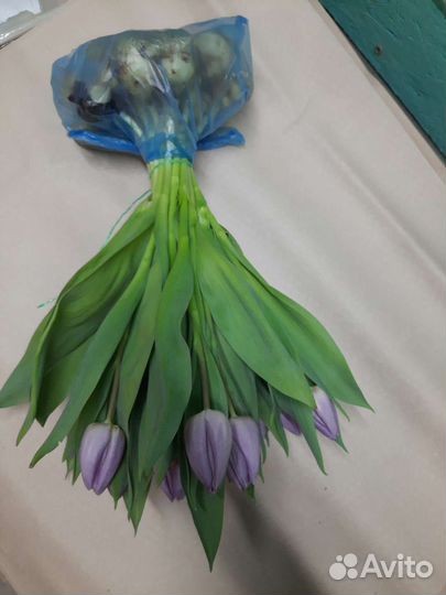 Пионовидные тюльпаны