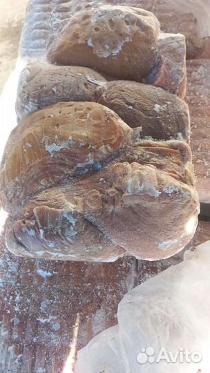 Вымя говяжье. Корм для собак