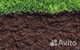 Чернозем Рязань/плодородный грунт