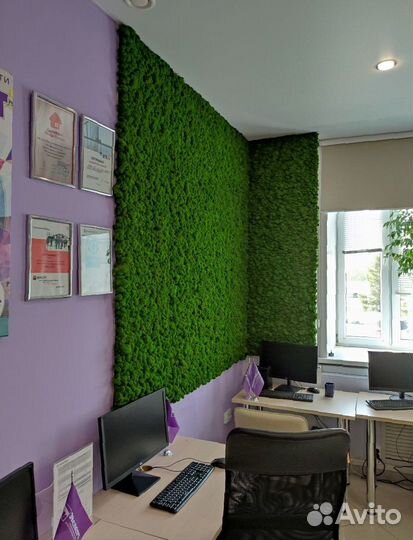 Панно. Декор. Стабилизированный мох