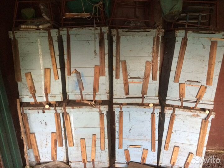 Продаю ульи фабричного производства