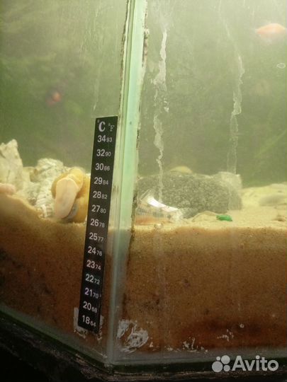 Аквариум с тумбой 150 литров