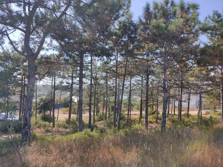 Участок 6,8 сот. (СНТ, ДНП)