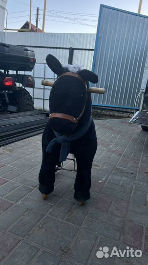 Лошадка поницикл