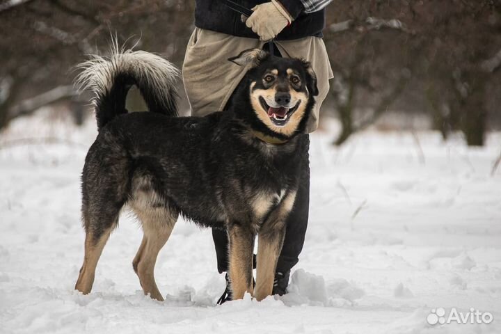 Бутуз хочет домой