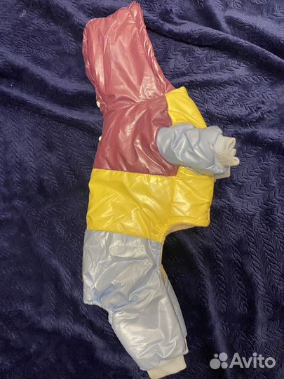 Одежда для маленьких собак