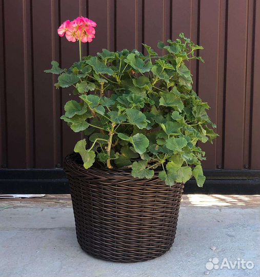 Кашпо из искусственного ротанга