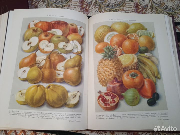 Энциклопедия домашнего хозяйства в 2 т., 1960 г