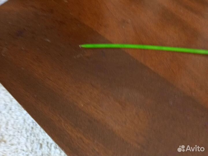 Капсулы для букетов орхидей 18 шт