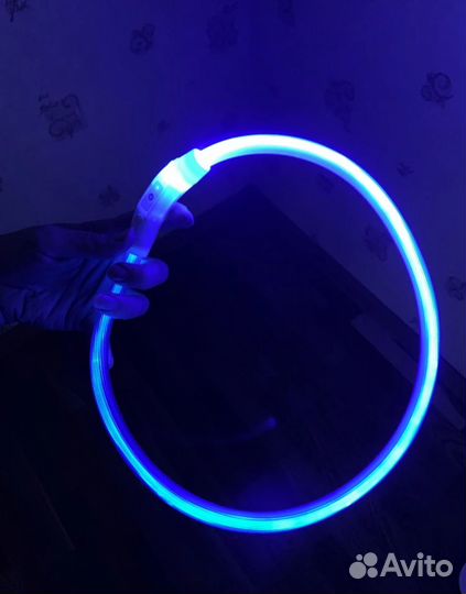 Светящийся ошейник для собак