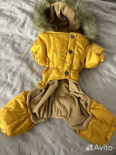 Кобинезон для собаки