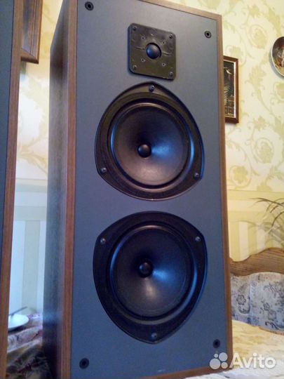 Колонки KEF 304,3