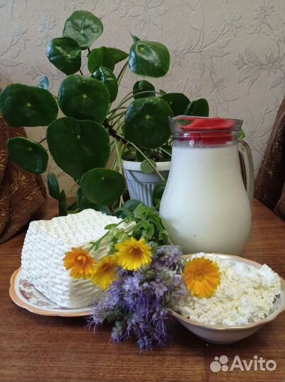 Молочные продукты