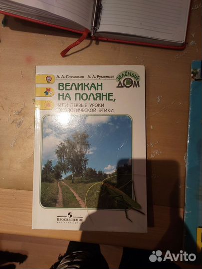 Учебник Великан на поляне А. Плешаков