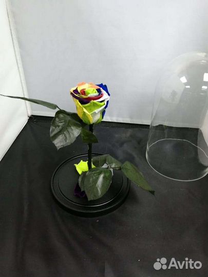 Роза в колбе оптом