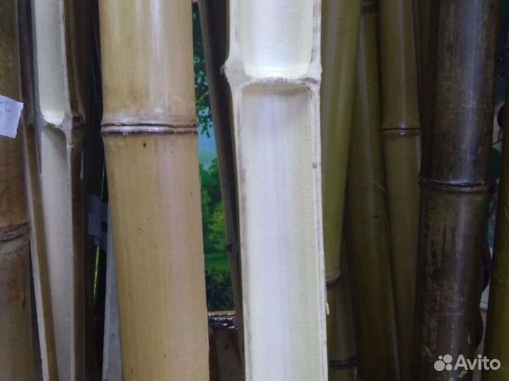 Бамбуковые палки и половинки