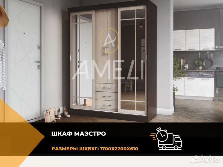 Шкаф купе с зеркалом в прихожую