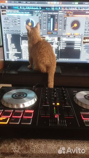 Dj контроллер Pioneer ddj sb2