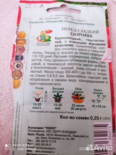 Рассада томатов