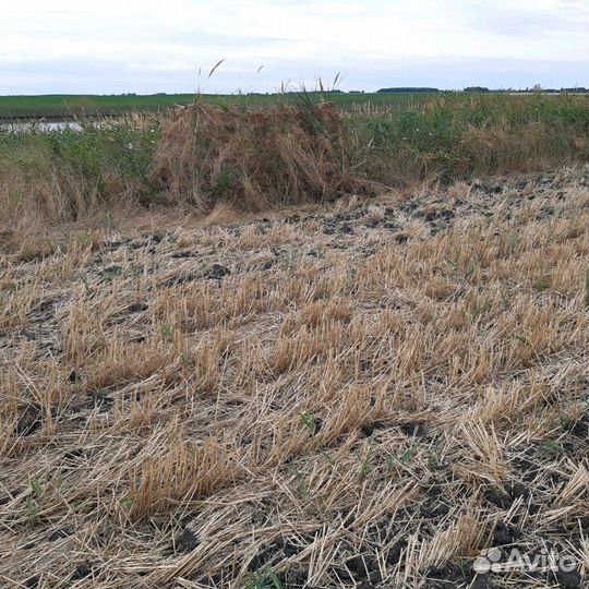 Засидка скрадок Мания Кругозор
