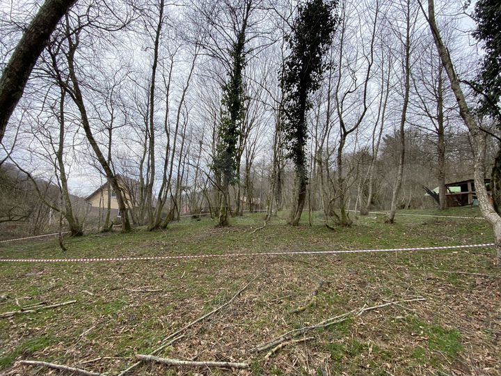 Участок 10,5 сот. (СНТ, ДНП)