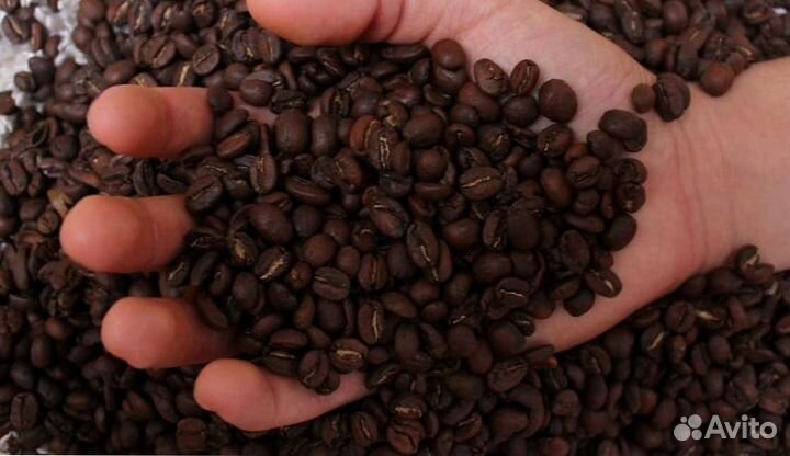 Кофе оптом для бара