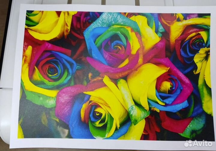 Принтер лазерный HP Color LaserJet CP1525n цвет A4