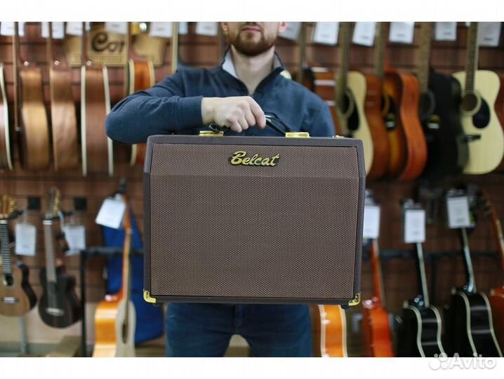 Belcat Acoustic-25RC комбоусилитель для электроак