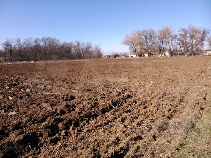 Участок 40 сот. (СНТ, ДНП)