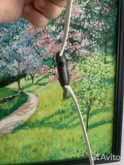 Apple watch series 5