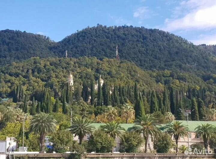 Турпутевка в Абхазию на 5 нч