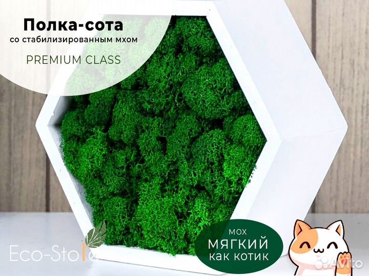 Полка сота из мха с подсветкой