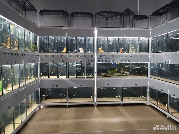 Аквариум Aquael Nano Reef Duo Led 49 л белый