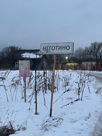 Участок 10 сот. (ИЖС)