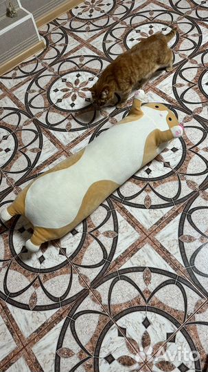 Кот-батон 100 см